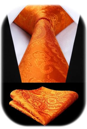 HISDERN Cravate Homme Paisley Cravates en Soie pour Hommes Mariage Cravatte et Pochette Set