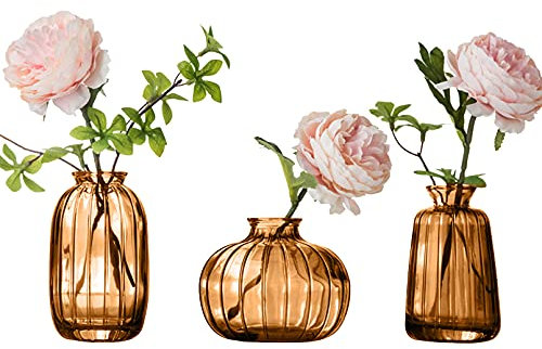 3er-Set Kleine Vasen für Tischdeko Dekorativ Glasvasen Blumenvase Set Bud Vase Kaffee