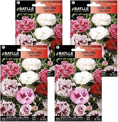 Semillas de clavel china doble variado Semillas Batlle PACK (4)
