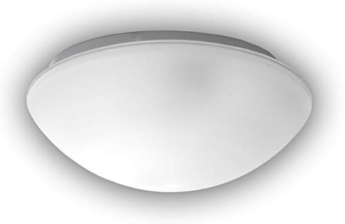 Niermann Standby 65125 a + +, Plafón satinado con borde transparente, 10 W LED, cristal, 25 x 10 cm