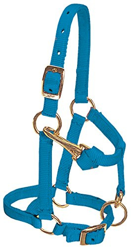 Weaver Leather - Cabezada Ajustable de Nailon para Poni, Grande, Azul huracán.