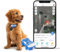 GPS Dog Tracker | Market leader | Real-time location tracking | Escape Alerts | Activity Monitoring | Health Alerts | Bark Monitoring | Works With Subscription