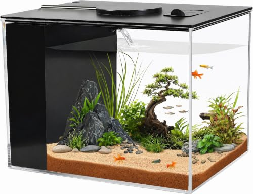 Petit Aquarium Complet 3,7L, Aquarium de Table, Aquarium Betta en Acrylique avec Pompe de Filtration et éclairage LED, pour Petits Poissons et Poissons Betta, Le Bureau et Les Cadeaux