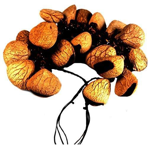 Fair Trade Anden Schamane Rattle Maraca Calabash Fu Shaker Tapar Nuts R116Foot