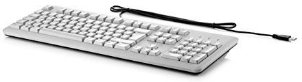 HP Tastatur Profi Flach USB (grau) – Tastaturen (Standard, kabelgebunden, USB, Tastatur, Membran, grau)