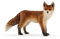 SCHLEICH 14782 Fuchs, ab 3 Jahren, WILD Life - Spielfigur, 3 x 8 x 5 cm