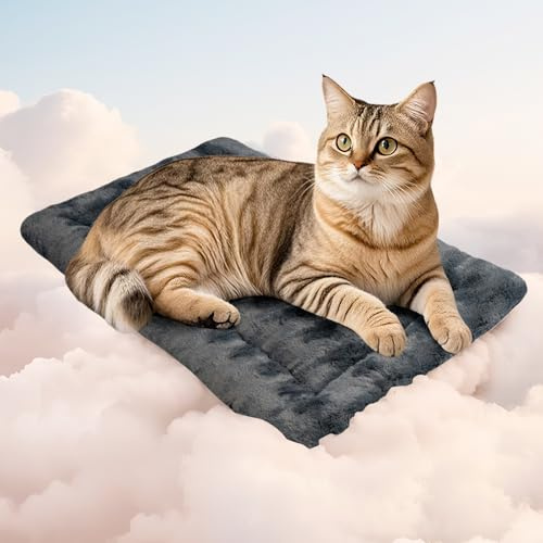 Mora Pets Couverture pour Chat - Coussin Moelleux - Lavable et antidérapant 53 * 33cm
