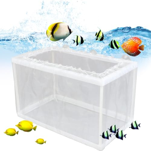 Akvarium Hatchery Box – flytande fiskstek, Breeder Cage | Baby Isolation Mesh Net för Juvenile Spawn Tank, sugkoppar – dagis – behållare, kompakt inkubator plastskydd Trap Wache