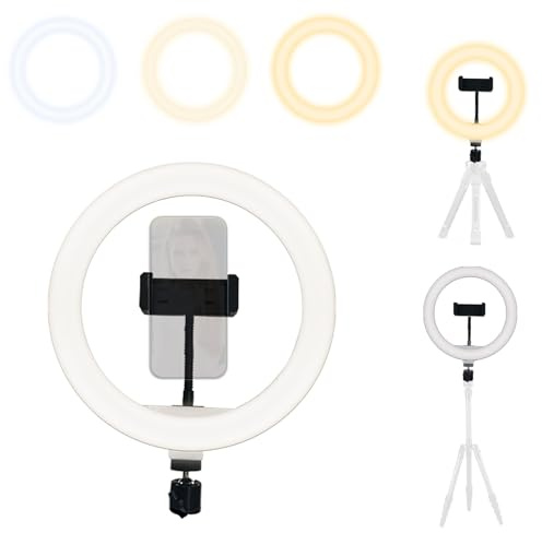 10.2 Inch Ring Spotlight Without Stand Dimmable LED Ring Light With 3 Colour Temperatures & 10 Brightness Levels USB Powered Selfie Light For Live Streaming Video Conferencing