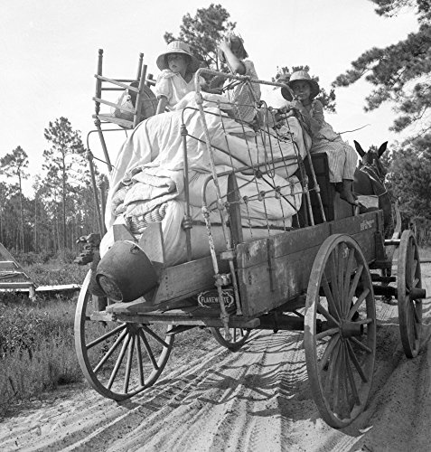 Florida Moving Day 1936 Nmoving Day In Turpentine Pine Forest Country In Florida Photograph By Dorothea Lange 1936 Poster Print by (18 x 24)