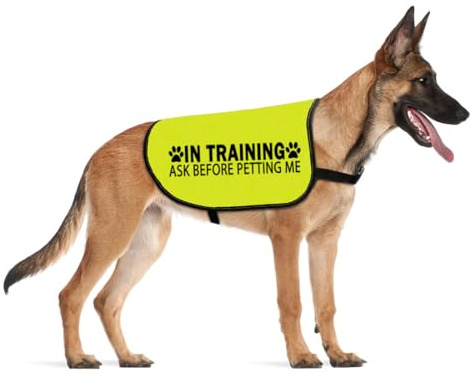 In Training Please Don't Approach/Ask Before Petting Me Dog Jacket Vest Alert Slogan Warning Vest (Before petting-Medium)