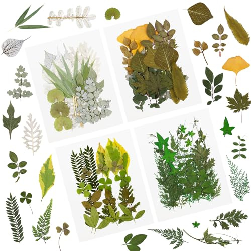 84 Hojas secas prensadas de Plantas de herbario pétalos Mezclados Hojas secas Naturales Reales para Manualidades de Resina DIY Pegatinas de uñas Adornos Decoraciones (C)