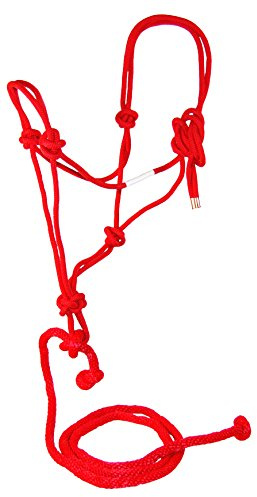 Hamilton Pet Products Rope Halter with Lead Adult Horse Color: Red