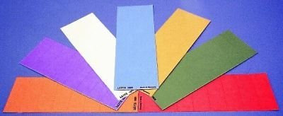 Esselte Leitz GmbH & Co. KG Premium Blankoschild LEI 1901-00-55 grün * 100st für Vollsichtreiter 6114