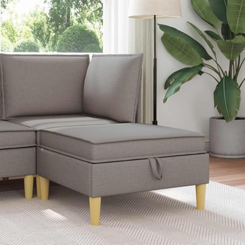Fasba Ottomán Moderno con Almacenamiento, Elegante Diseño Minimalista, 70x70x40 cm - Tapicería de Tela