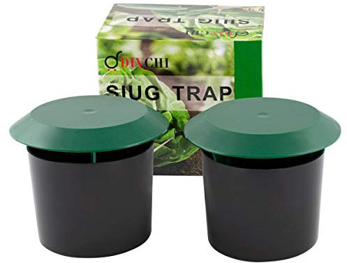 DIVCHI Beer Slug & Snail Traps Simple To Use No Pellets Safe Around Children And Pets (Pack of 2)