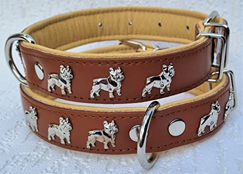 Bully Französische Bulldogge Frenchie Halsband - Halsumfang 30-39cm/30mm, 32-44cm/30mm, 36-49cm/30mm Leder Cognac Beige (3. Halsumfang 36-49cm/30mm/55cm)
