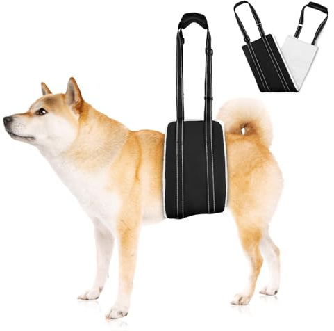 AOOHA Harnais pour Chien Handicapé, Harnais réglable pour Chien, Aide à la Marche, Cuir PU Imperméable et Anti-Salissure et Matériau Doux et Moelleux, Convient aux Chiens âgés et handicapés
