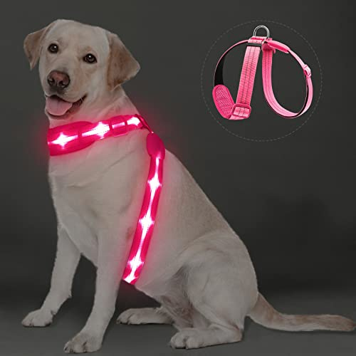 PZRLit LED Hundegeschirr Leuchtend für Hunde, Leuchtgeschirr Hundeweste Wiederaufladbar