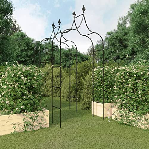 Générique Arches de Jardin 2 pcs Noir 120x38x260 cm Acier,Arches, treillages & pergolas de Jardin,4.78KG-319349