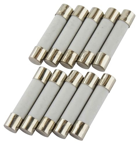 10er Packung SeKi Keramik Sicherung 15A, 6x30mm, Träge; Glassicherung Feinsicherung 250V