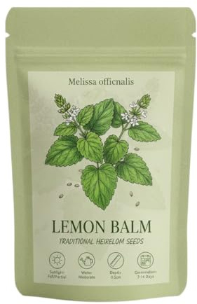 Semillas de Melisa para Infusiones y Espacios Verdes – DECOALIVE