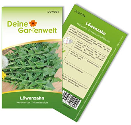 Löwenzahn Kultivierter Samen - Taraxacum officinale - Löwenzahnsamen - Kräutersamen - Saatgut für 100 Pflanzen