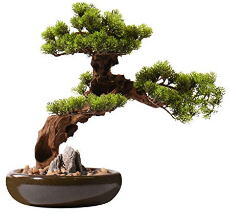 XXXXW Handmade Chinese Artificial Cedar Desktop Simulation Green Value, Hotel Villa Artificial Potted Living Room Porch Zen Simulation Tree Artificial Bonsai Fake Plant