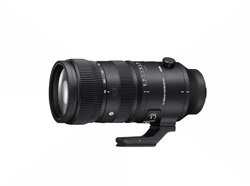 Sigma 70-200mm F2.8 DG DN OS für L-Mount, 591969
