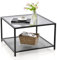 GOPLUS - Mesa baja de cristal templado con estantería, mesa baja con marco de metal resistente, mesa auxiliar para sofá, carga 50 + 20 kg, 70 x 70 x 45 cm (gris)