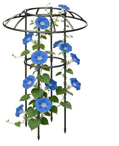 Enrejado De Jardín Para Plantas Trepadoras,Soportes Verticales Estables Y Resistentes Al Óxido Para Enredaderas,Estructura Con Corona En Forma De Hongo | Para Enredadera Rosa Pitaya Pepino Hortensia J