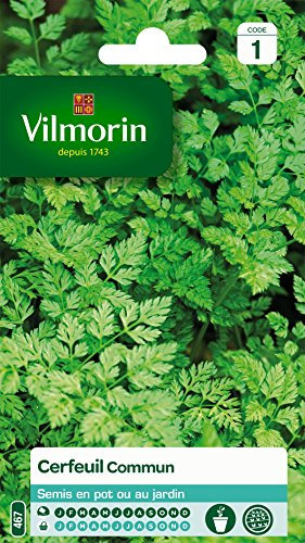 Vilmorin 3235044 Cerfeuil commun, Vert, 90 x 2 x 140 cm
