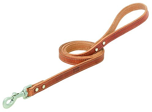 Terrain D.O.G. Harness Leather Dog Leash