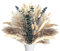 Hitopin 63 Piezas Decoración de Pampas Grass Secas, Pampas Grass con Colas de Conejo, Hierba Natural de Pampas Secas, para Boda Decoracion, Arreglos Florales Decoración del Hoga, Fiestas