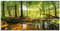 ARTland Wanddeko Glasbilder Wandbild Glas Bild einteilig 100x50 cm Querformat Wald Natur Landschaft Bäume Bach Sonne Frühling T9IO
