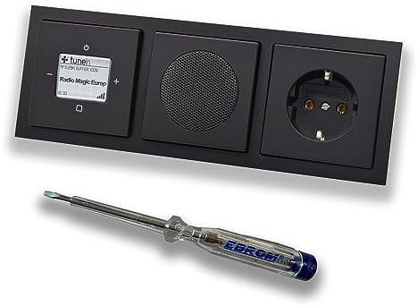 Busch Jäger iNet Internet Unterputz Radio 8216U Future SCHWARZ MATT, Komplett-Set mit Lautsprecher, Abdeckungen, Steckdose, Rahmen + EBROM Phasenprüfer zur Montage der Geräte - 8216U