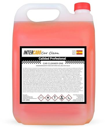 Intercabo – Detergente Sgrassante per Motori • Formula Solubile in Acqua • Rimuove Grasso, Olio e Incrostazioni • Uso Professionale per Officine, Garage e Autolavaggi • Pronto all’Uso