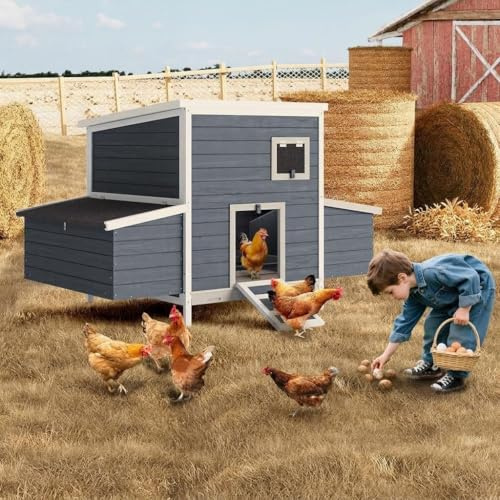 Garvee Poulailler en Bois 59 pour 2 à 6 Poules – 2 Grands pondoirs, Toit ouvrant, Rampe et Cage extérieurérieure sécurisée pour Poules, Canards, Lapins ou cochons d'Inde – Convient Jardin et Ferme –