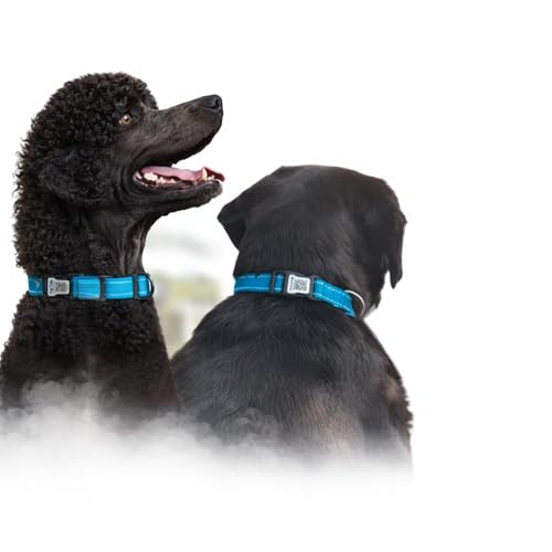 Smart Hundhalsband med Inbyggd QR-kod – Digital ID-bricka (QR Code), snabb identifiering vid borttappat husdjur, inga avgifter eller abonnemang
