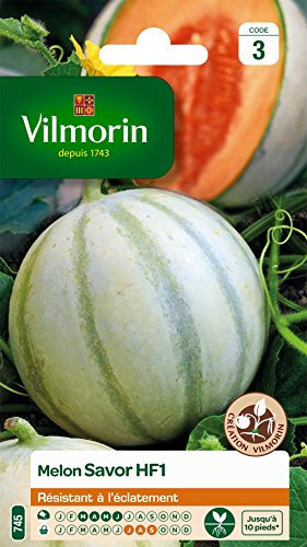 Vilmorin 3664743 Pack de Graines Melon Savor HF1 Création