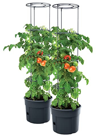 Set med 2 krukor för tomatplantor – 392 x 1 530 mm – planteringskruka för tomater, växter, tomat, trädgård, terrass