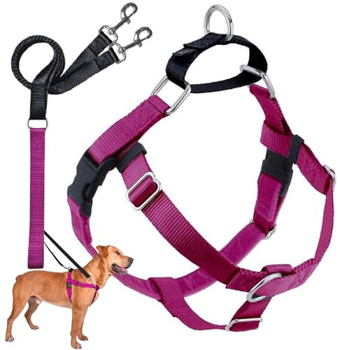 2 Hounds Design Freedom No Pull Dog Harness and Leash, 1 MD, Raspberry