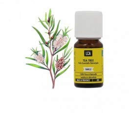 LCA Huile Essentielle Bio Tea Tree 10ml