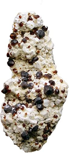 JCAKES Minerales Piedras Naturales Naturales Minerales Muestra de Piedras y Cristales Curring Crystals Gemstones de China Crystal Stones Decoración (Color : 53g)