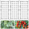 CAUTIOUS Rete per Piante 3 Pezzi, 60×120cm Rete per Piante Rampicanti, Rete a Traliccio per Piante con 18 Ganci, Net Plant Net Grow, Rete di Protezione per Verdure, per Piante Rampicanti per Giardini