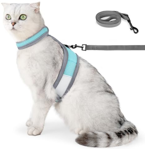 Kattsele och koppel, anti-sprickande reflekterande kattunge sele justerbara selar kattkoppel för stora och små katter promenader, jogging, träningsaktiviteter