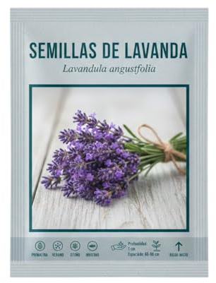 Espliego Aromático Semillas de Lavanda Natural – DECOALIVE