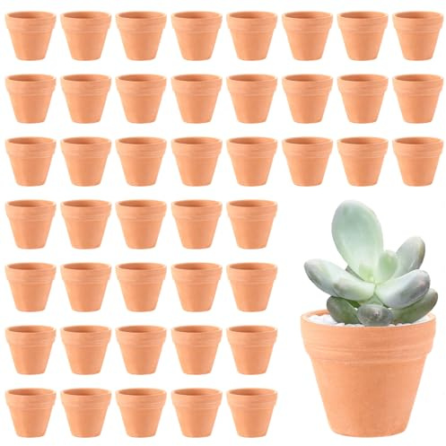 Generisch SHUESS - Lot de 48 mini pots de fleurs en argile - 3,5 x 3 cm - Petits pots de fleurs en argile - Avec trou de drainage - Pour bricolage - En terre cuite - À peindre - Pour plantes