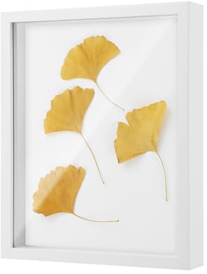 ZHYLUO Bilderrahmen zum befüllen, 3D Bilderrahmen Zum Befüllen 25 x 20 cm, Holz Bilderrahmen Zum Befüllen für Gegenstände, Blumen, Hochzeitsgeschenke oder Souvenirs (weiß)