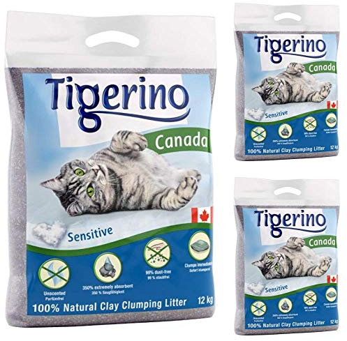 Tigerino Canada Katzenstreu mit Klumpen, 36 kg, geruchlos, antibakteriell, Einweg- und hypoallergen, mit Geruchskontrolle, Formelfrei, 4,5 cm natürlicher Katzenminze-Ball